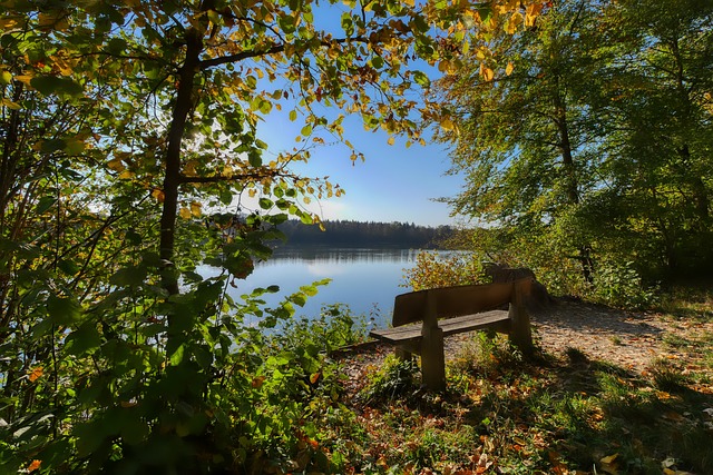 必一运动官网平台